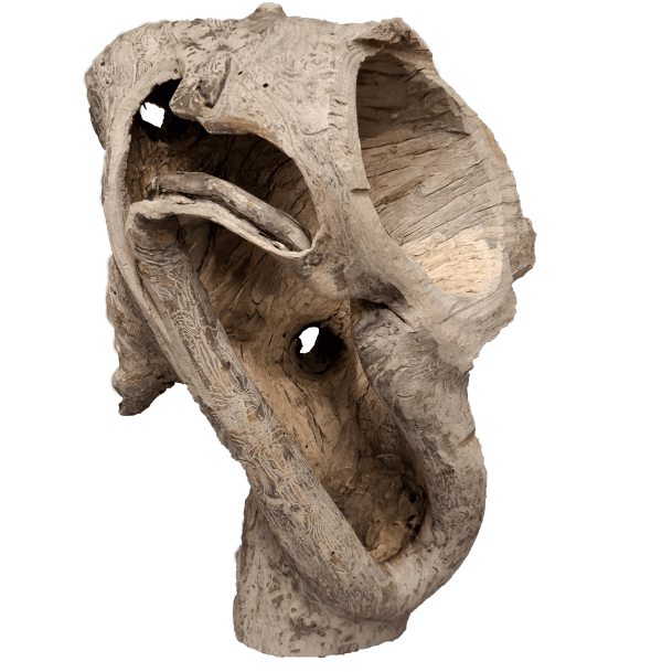 Drvo - Image 2