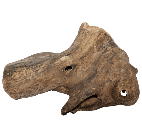 Drvo - Image 3
